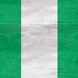 Nigeria Flag Distressed Steam Deck Handheld Gaming Computer Skin